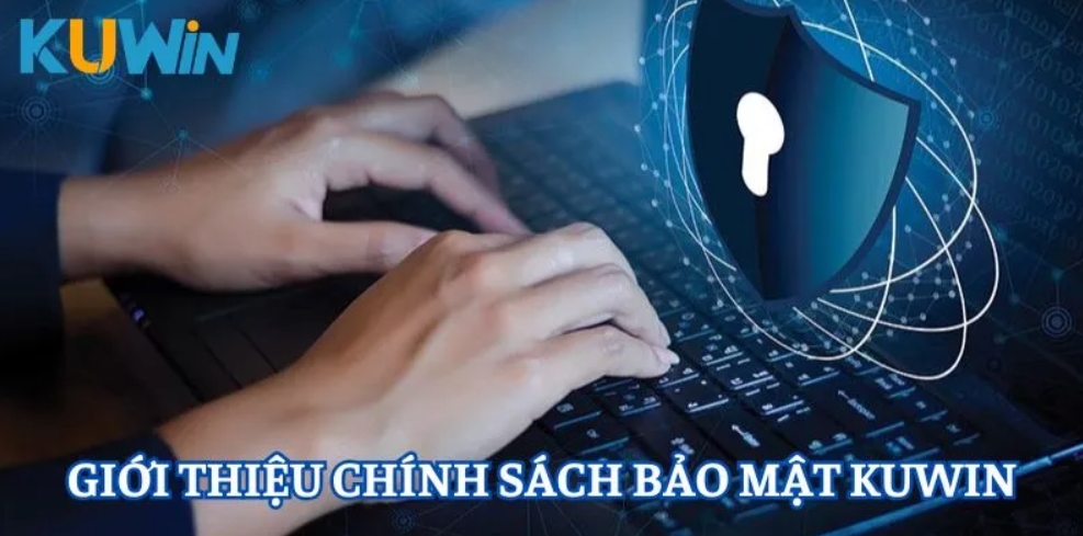 Những thông tin về chính sách bảo mật taị Kuwin