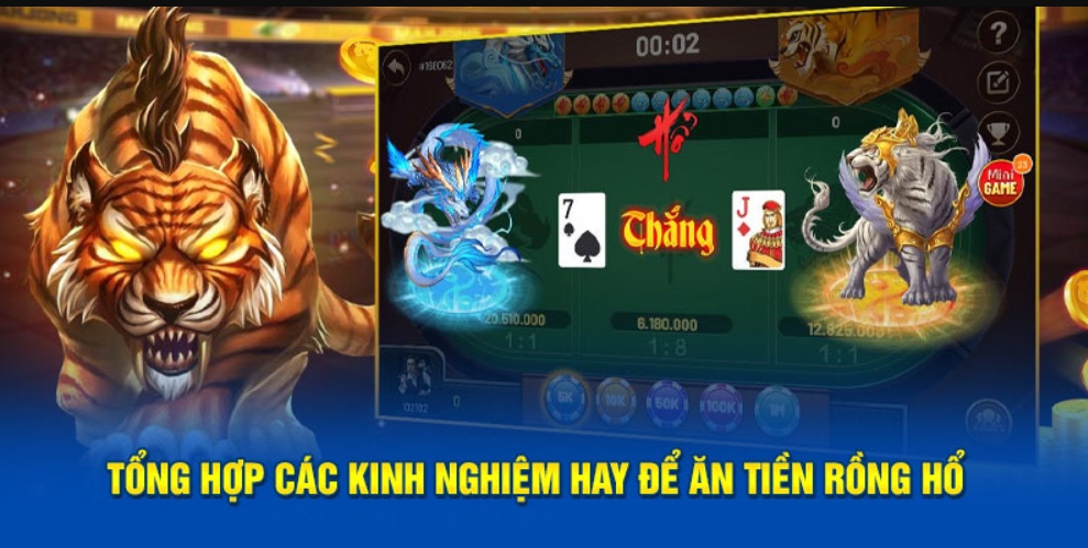 Kinh nghiệm chơi rồng hổ Kuwin từ cao thủ